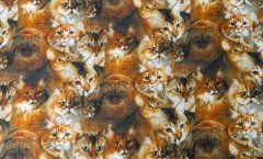 Katzenmotiv Stoff Baumwolle