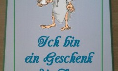 Dekoschild mit lustigem Spruch; MDF Holz; Handarbeit